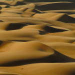 NABIBIA - LE DUNE DEL KAOKOLAND NORTH DESERT