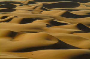 NABIBIA - LE DUNE DEL KAOKOLAND NORTH DESERT