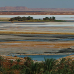 EGITTO - L'OASI VISTA DAL TEMPIO DELL'RACOLO