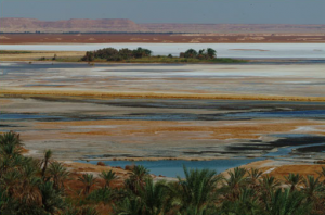 EGITTO - L'OASI VISTA DAL TEMPIO DELL'RACOLO